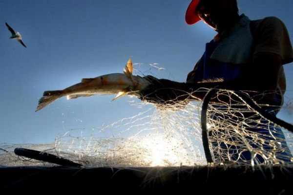 Justia determina que INSS pague seguro a pescadores de Mato Grosso